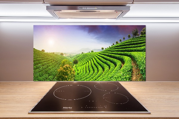 Salpicadero para cocina Plantación de té