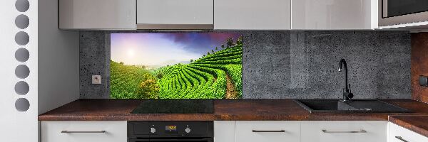 Salpicadero para cocina Plantación de té