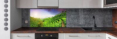 Salpicadero para cocina Plantación de té