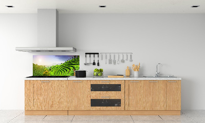 Salpicadero para cocina Plantación de té