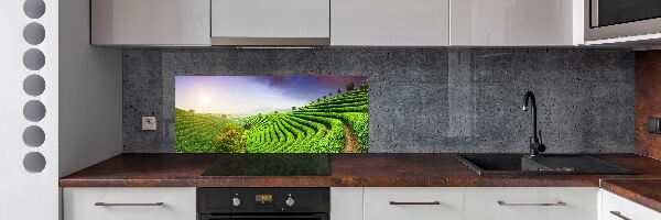 Salpicadero para cocina Plantación de té