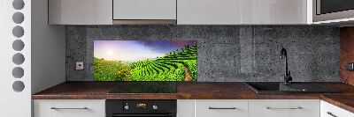 Salpicadero para cocina Plantación de té