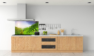 Salpicadero para cocina Plantación de té