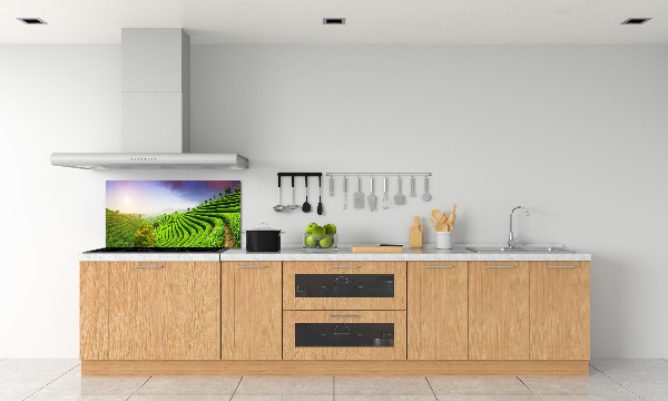 Salpicadero para cocina Plantación de té