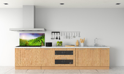 Salpicadero para cocina Plantación de té