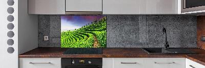 Salpicadero para cocina Plantación de té