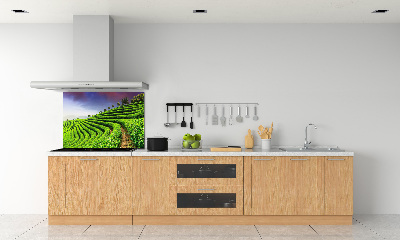 Salpicadero para cocina Plantación de té