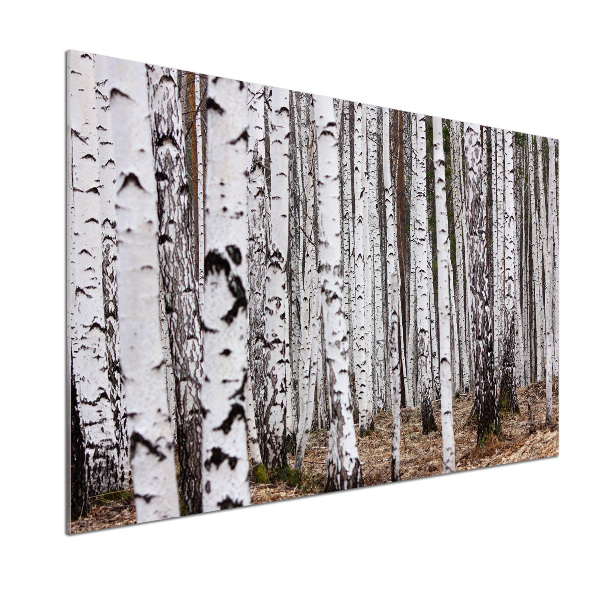 Salpicadero de cocina Abedul