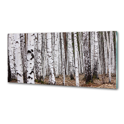 Salpicadero de cocina Abedul