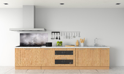 Panel para cocina semillas de diente de león