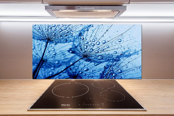 Panel de pared de cocina semillas de diente de león