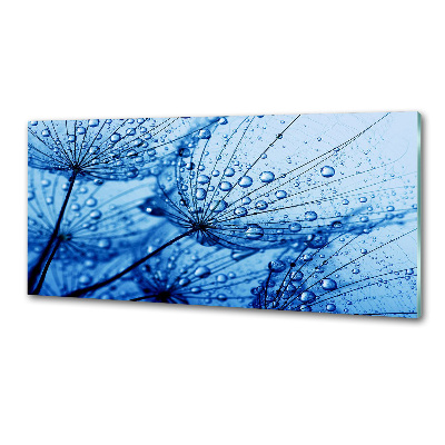 Panel de pared de cocina semillas de diente de león