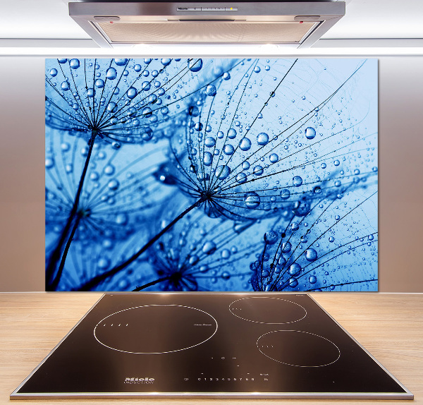 Panel de pared de cocina semillas de diente de león