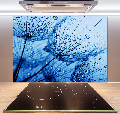 Panel de pared de cocina semillas de diente de león