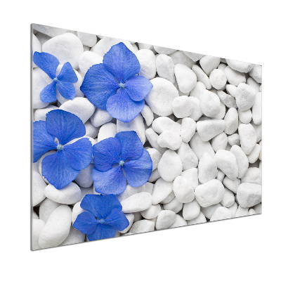 Panel para cocina Hortensia