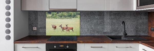 Panel para cocina Corzo con crías