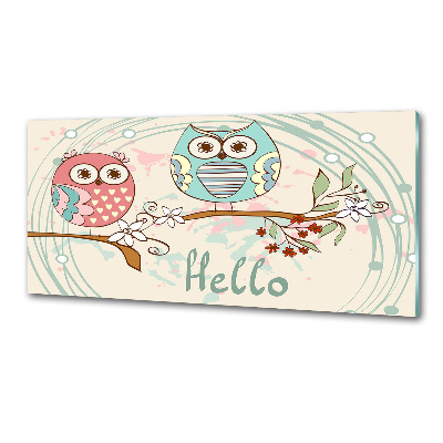 Salpicadero para cocina Búhos