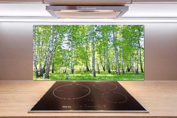 Panel de pared de cocina Abedules