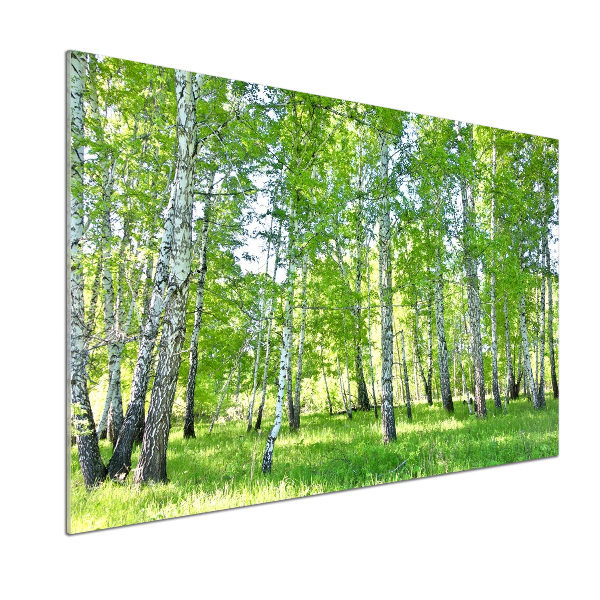 Panel de pared de cocina Abedules