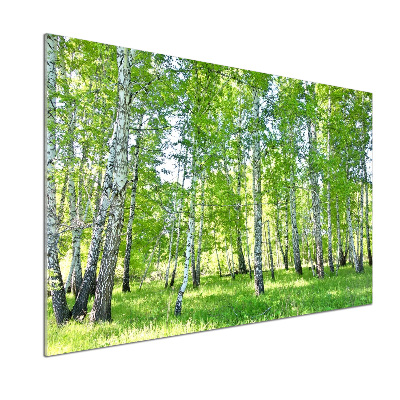 Panel de pared de cocina Abedules