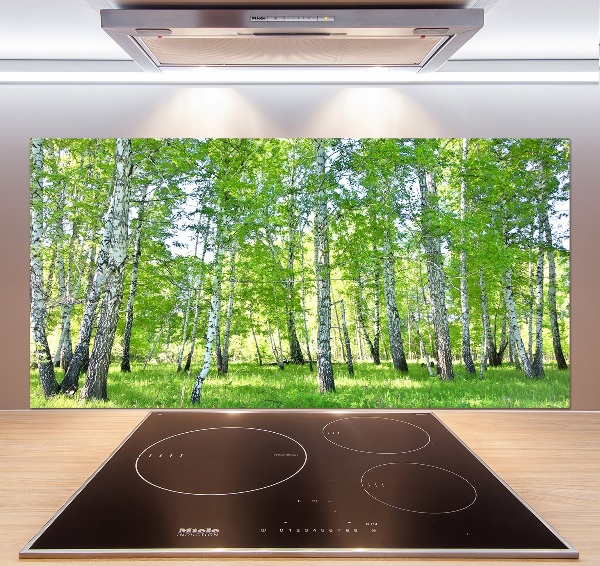 Panel de pared de cocina Abedules