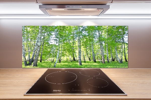 Panel de pared de cocina Abedules