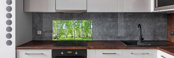 Panel de pared de cocina Abedules