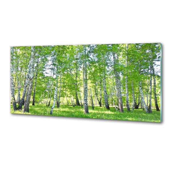 Panel de pared de cocina Abedules