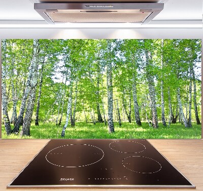 Panel de pared de cocina Abedules