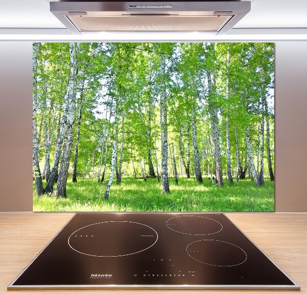 Panel de pared de cocina Abedules