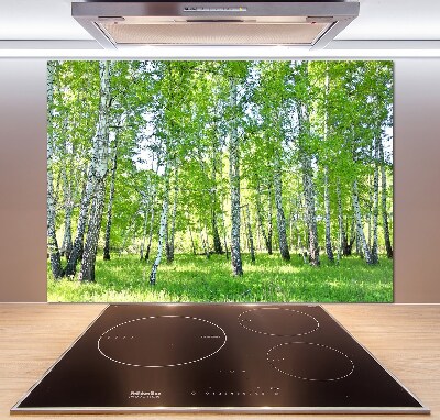 Panel de pared de cocina Abedules