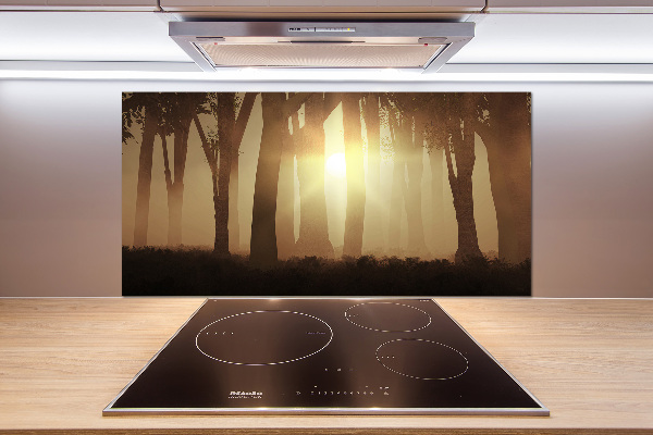 Panel para cocina Niebla en el bosque