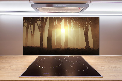 Panel para cocina Niebla en el bosque