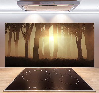 Panel para cocina Niebla en el bosque