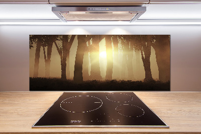 Panel para cocina Niebla en el bosque