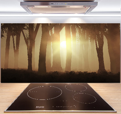 Panel para cocina Niebla en el bosque