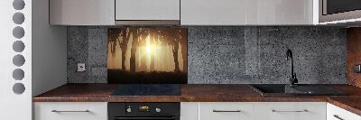 Panel para cocina Niebla en el bosque