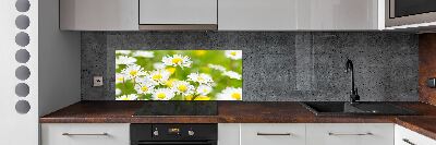 Panel między meble w kuchni Stokrotki