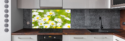 Salpicadero para cocina margaritas