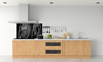 Panel antisalpicaduras desarrollo muscular