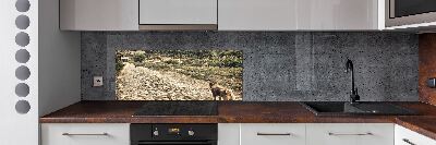 Panel de pared de cocina Dos perros en una colina