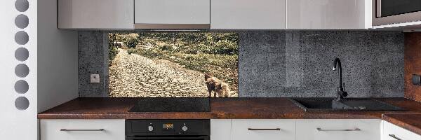 Panel de pared de cocina Dos perros en una colina