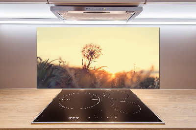 Panel de pared de cocina Diente de león