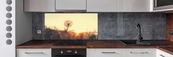Panel de pared de cocina Diente de león