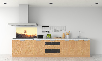 Panel de pared de cocina Diente de león