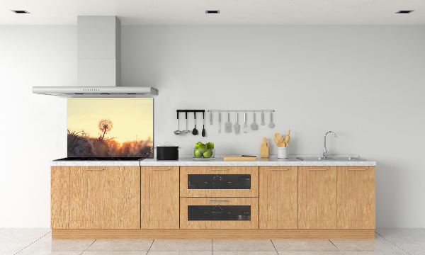 Panel de pared de cocina Diente de león