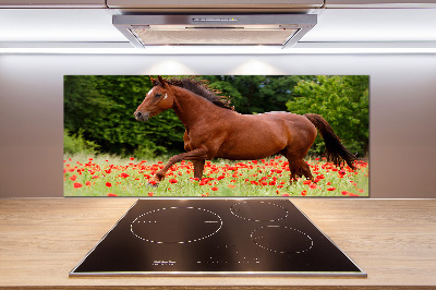 Salpicadero de cocina Un caballo en un campo de amapolas.