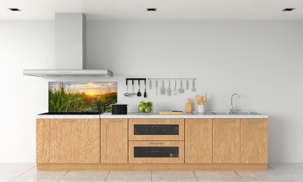 Panel antisalpicaduras campo de trigo