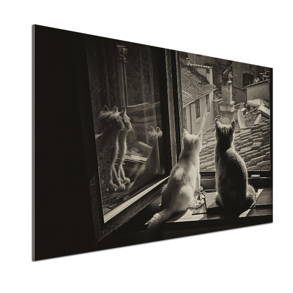 Panel antisalpicaduras Gatos en la ventana