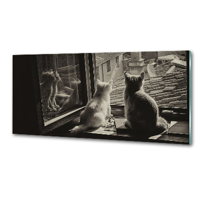 Panel antisalpicaduras Gatos en la ventana